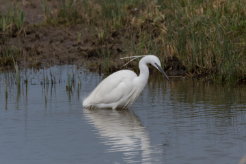 Recent Sightings - 18/10/2021